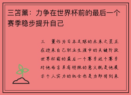 三笘薰：力争在世界杯前的最后一个赛季稳步提升自己