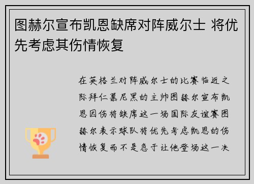 图赫尔宣布凯恩缺席对阵威尔士 将优先考虑其伤情恢复